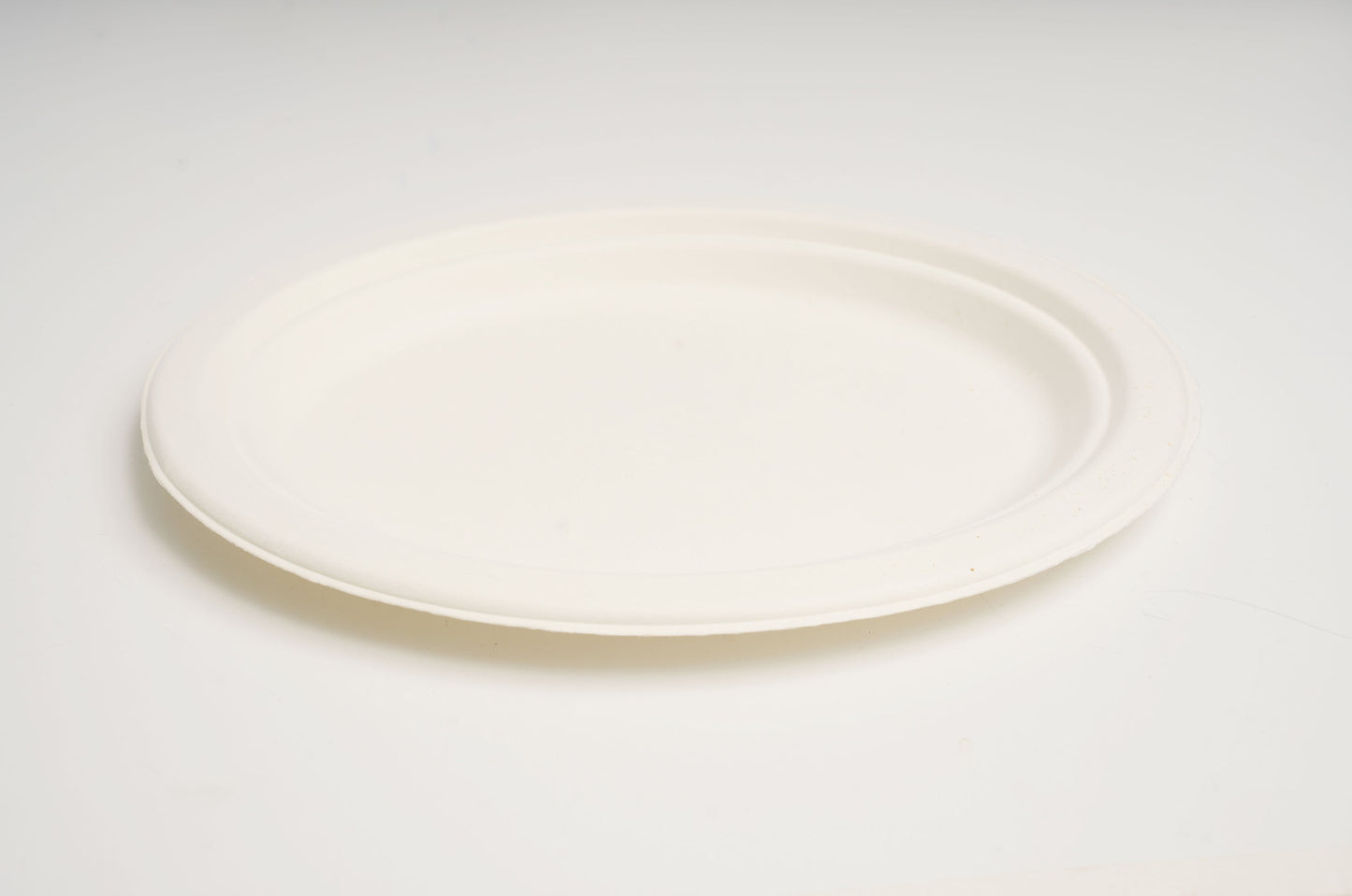 Sugarcane Round Plate | 10" | 500 count